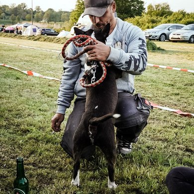 Foto: Melanie Werner