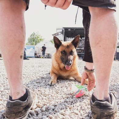 Foto: Milena Schlosser