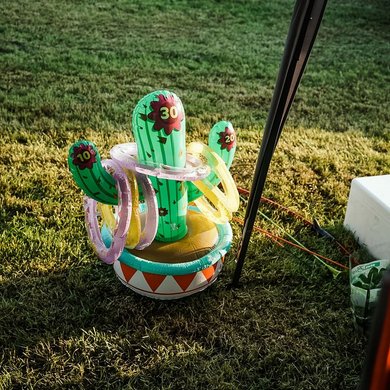 Foto: Melanie Werner